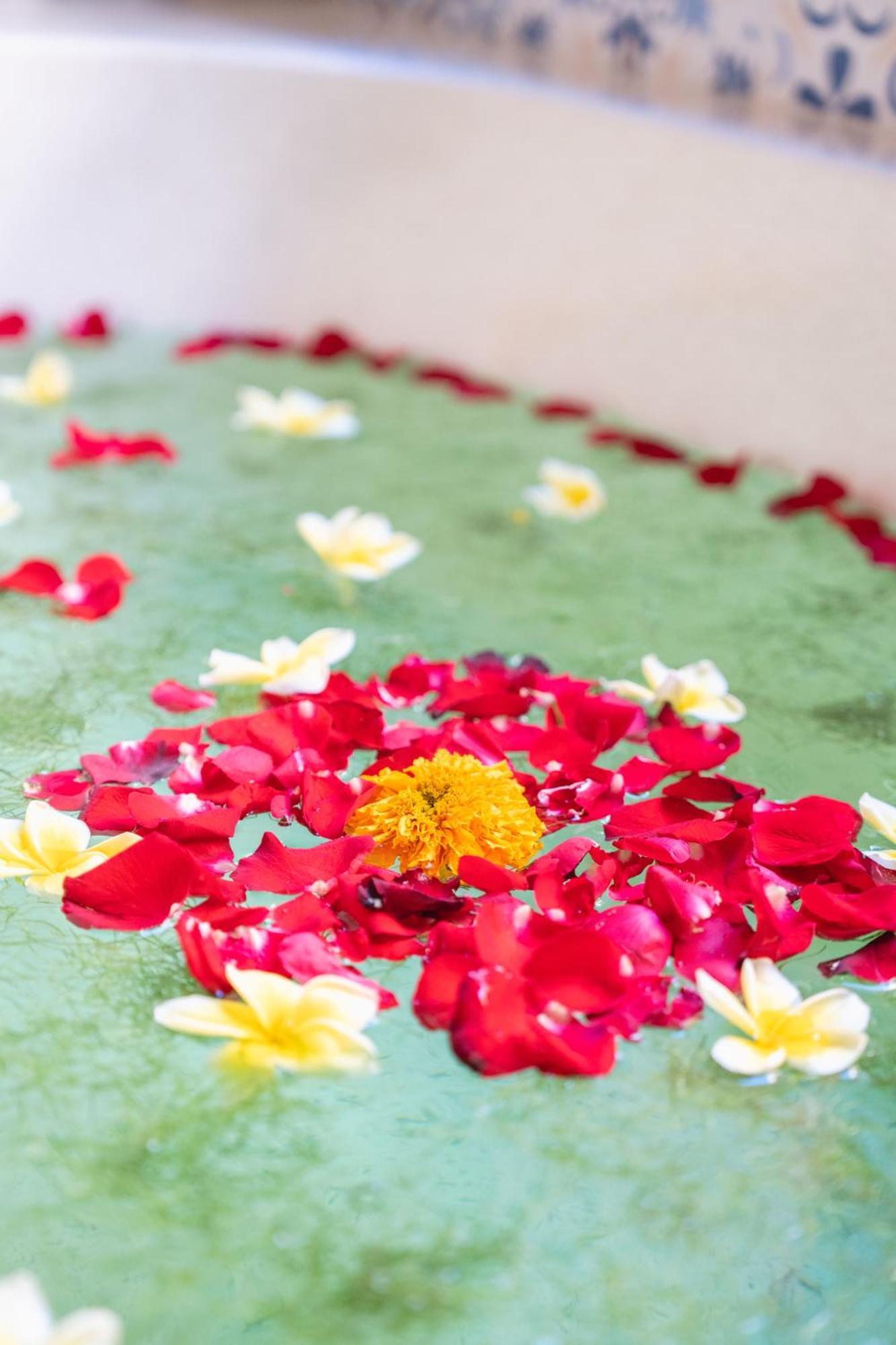 The Compass Rose Ubud 外观 照片